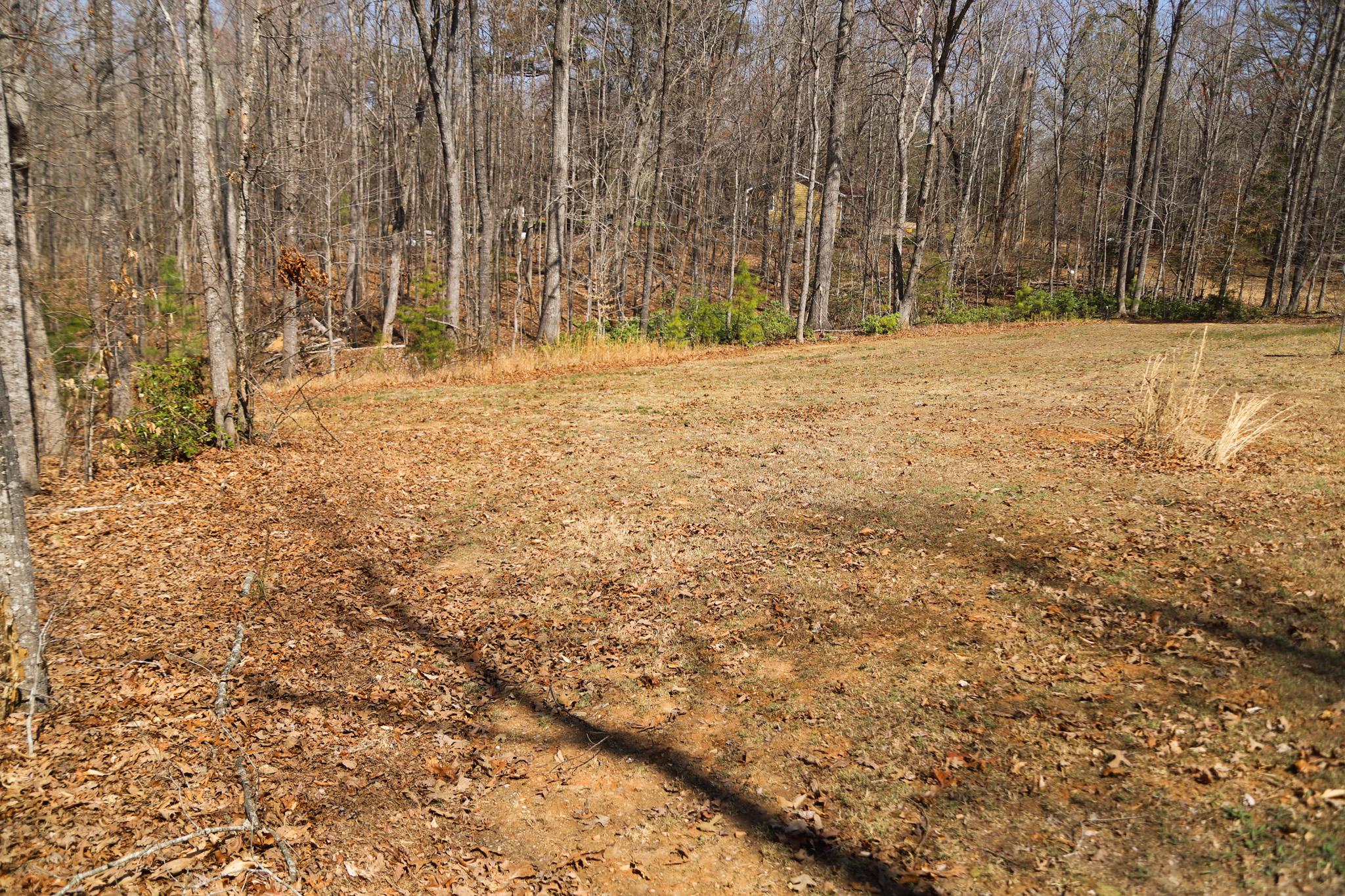 815 Mallorys Ford Road Louisa, VA 23093 - Photo 7 of 16