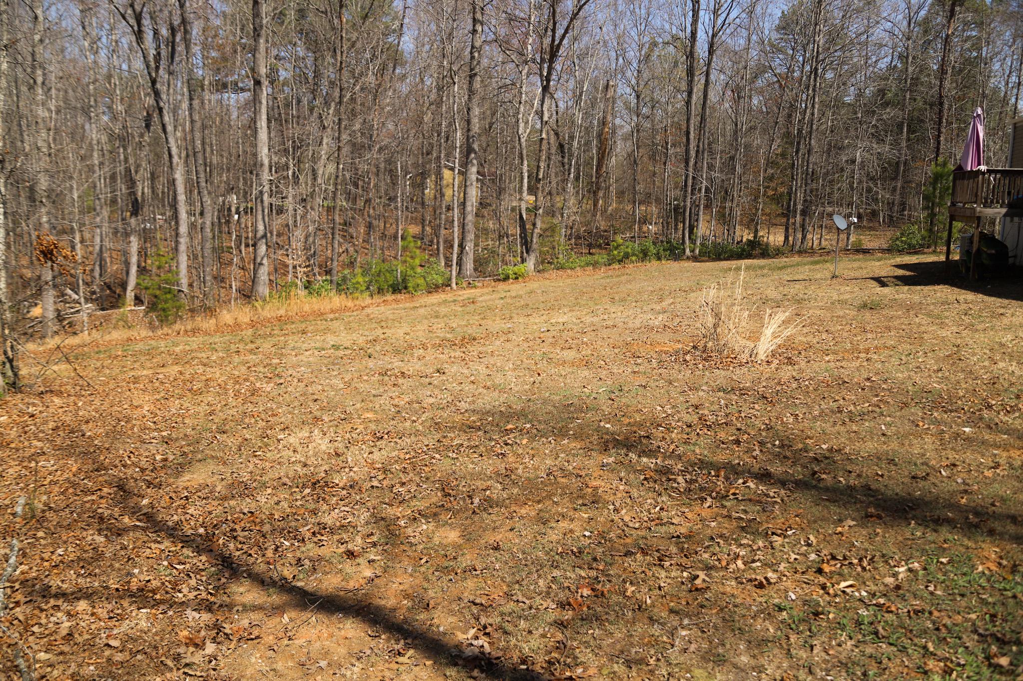 815 Mallorys Ford Road Louisa, VA 23093 - Photo 8 of 16