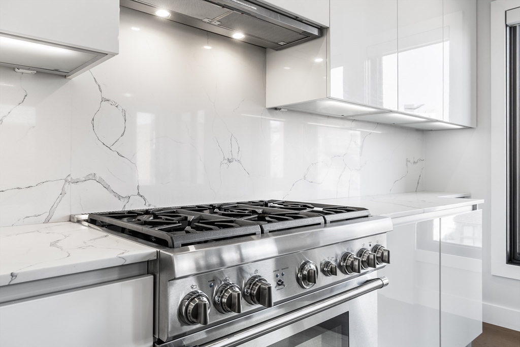 39 A Street, Unit 19 Boston, MA 02127 - Photo 3 of 24 a close view of stove top oven