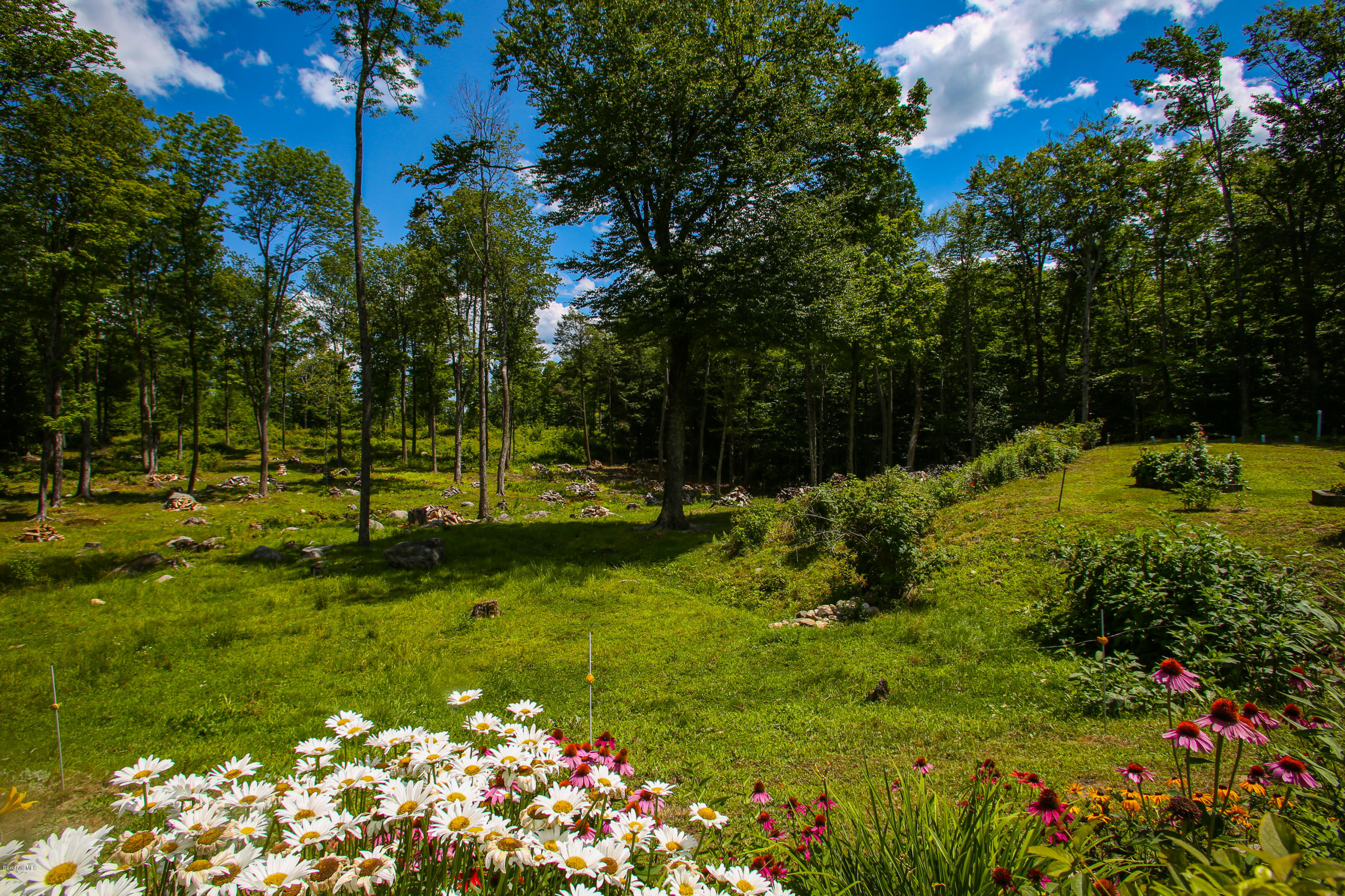 313 Abbott Hill Road Chester, MA 01011 - Photo 33 of 43 Backyard paradise
