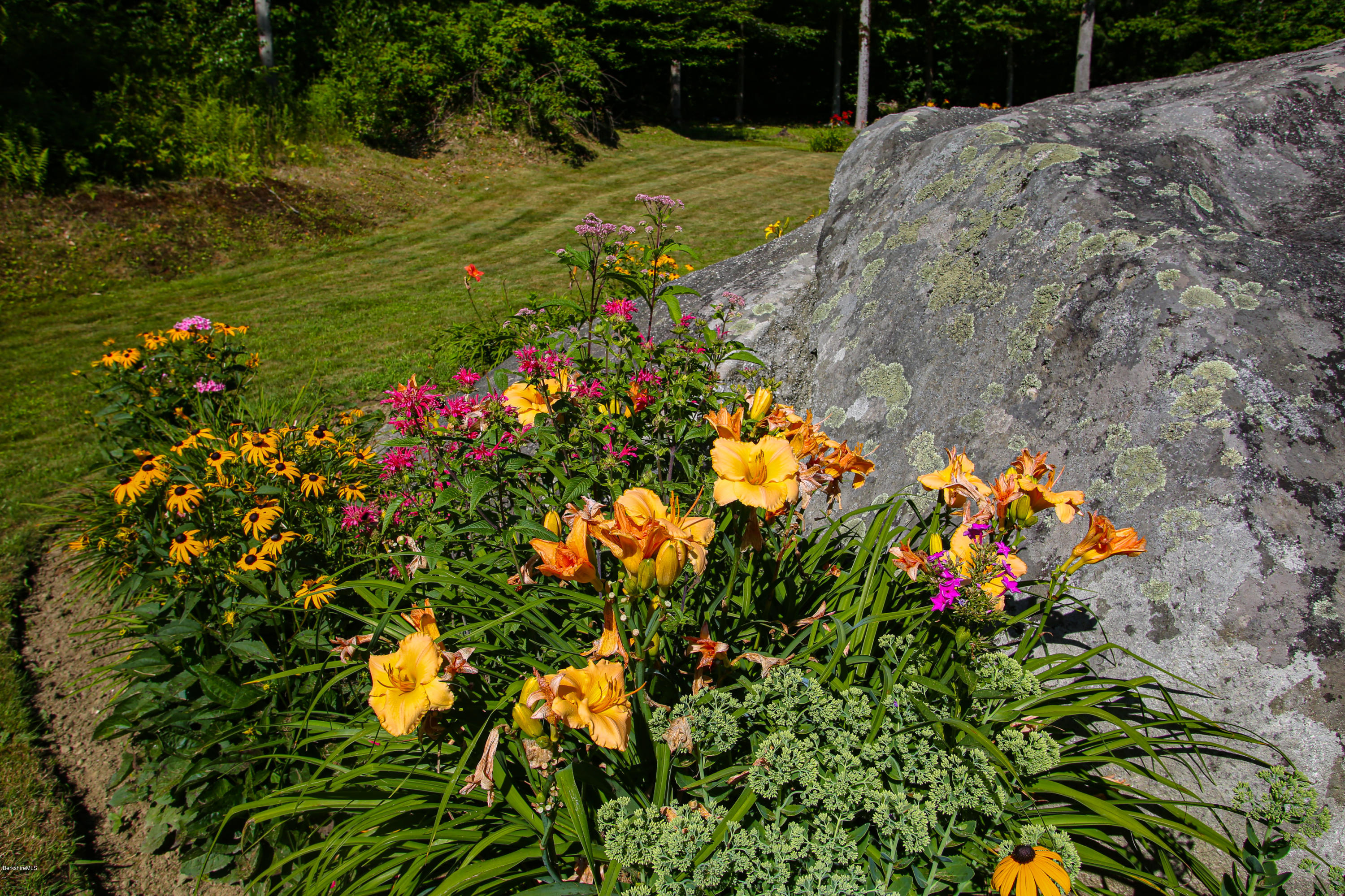 313 Abbott Hill Road Chester, MA 01011 - Photo 41 of 43 flower galore