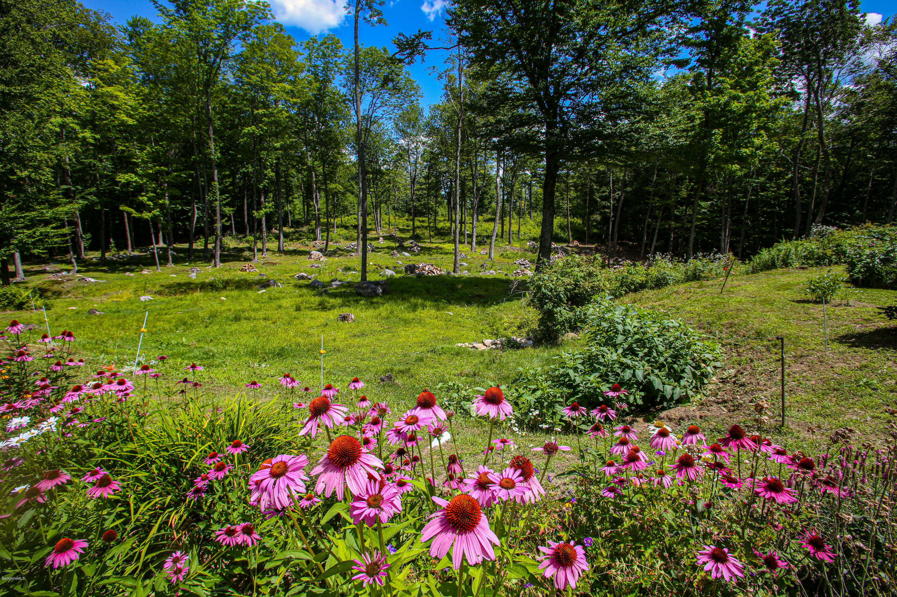 313 Abbott Hill Road Chester, MA 01011 - Photo 42 of 43 country view