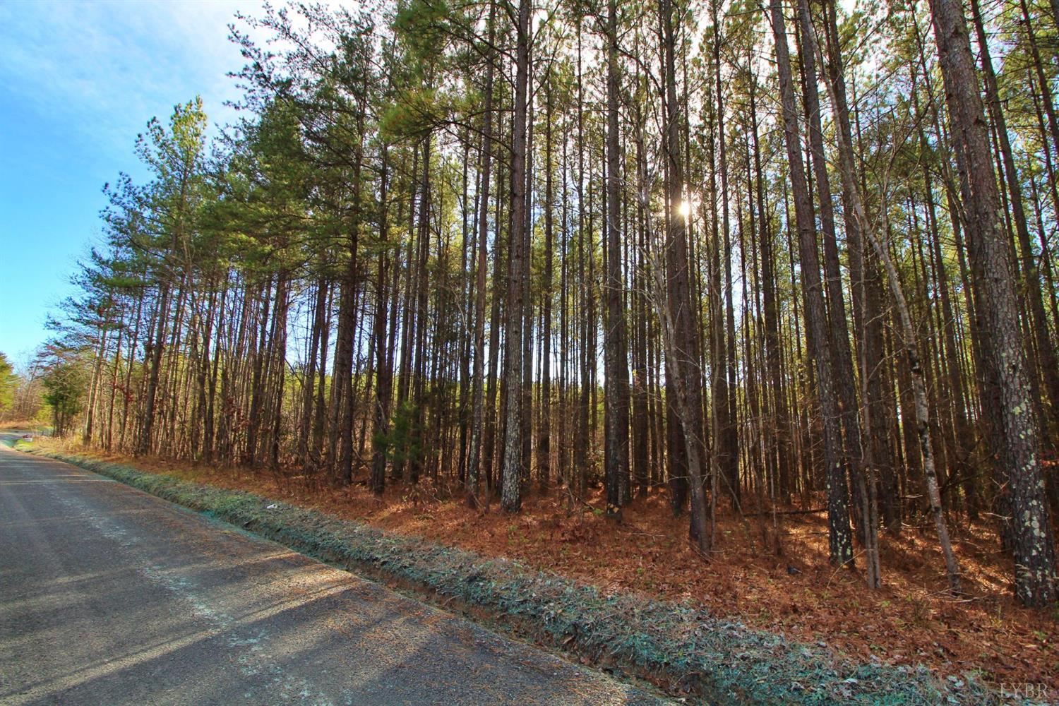4 Cub Creek Road Appomattox, VA 24522 - Photo 2 of 3 Gallery Image 2