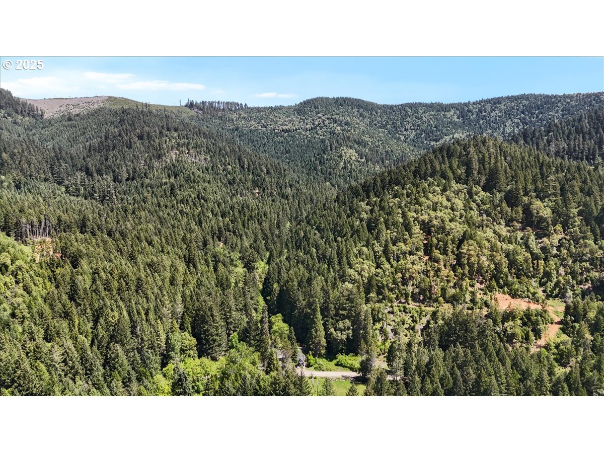 2128 Starveout Creek Road Azalea, OR 97410 - Photo 31 of 32