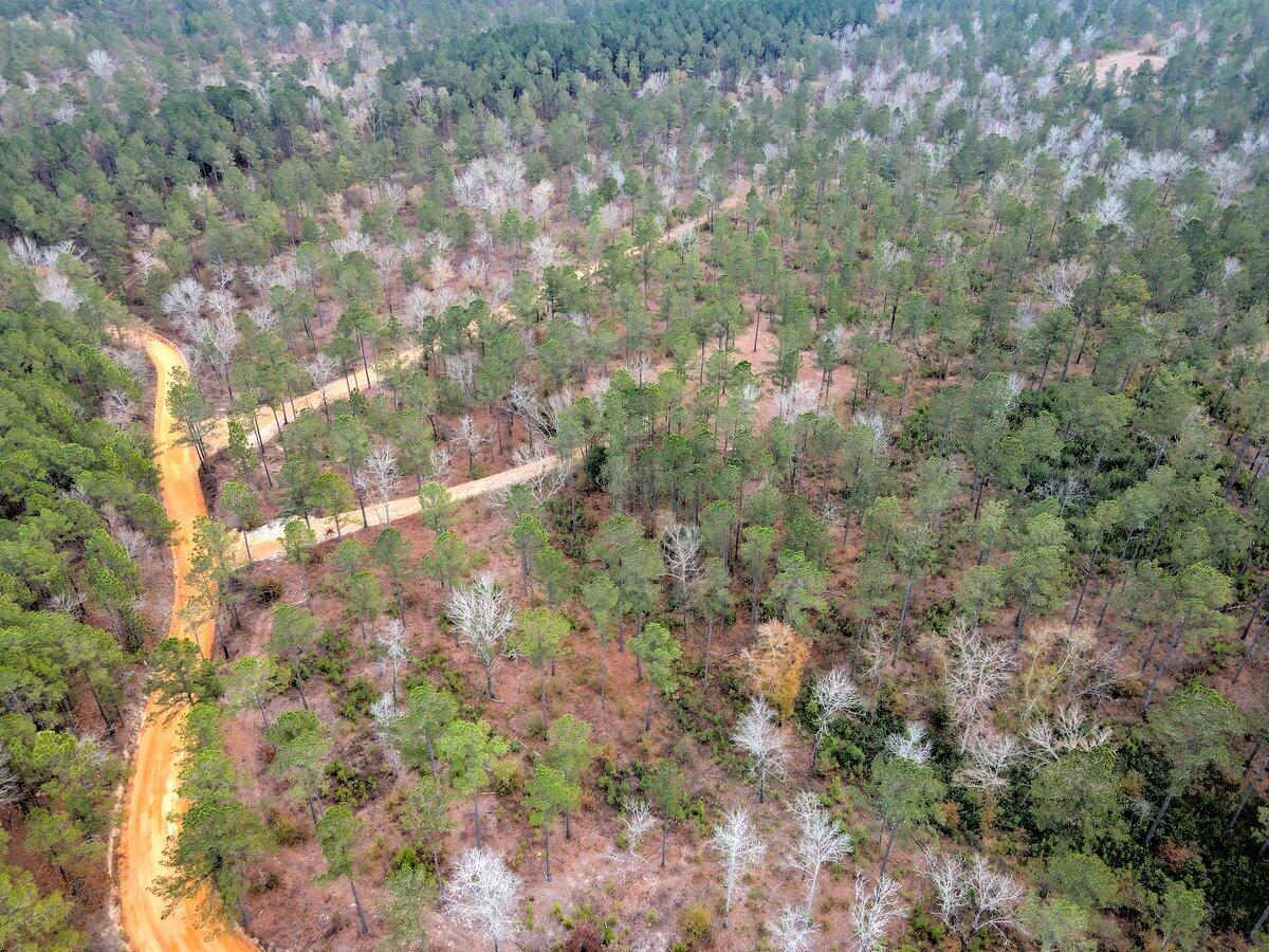 0 Deer Run Road, Unit F2 Williston, SC 29853 - Photo 2 of 24 Gallery Image 2