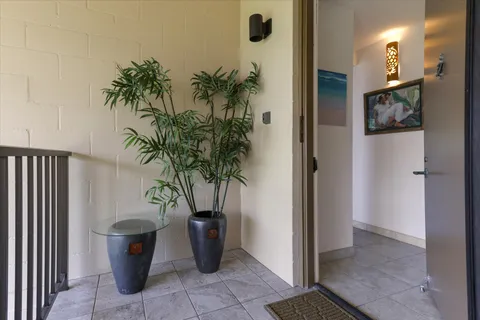 a potted plant sitting in front of a bathroom