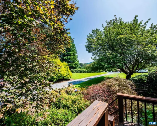 a view of a backyard with plants