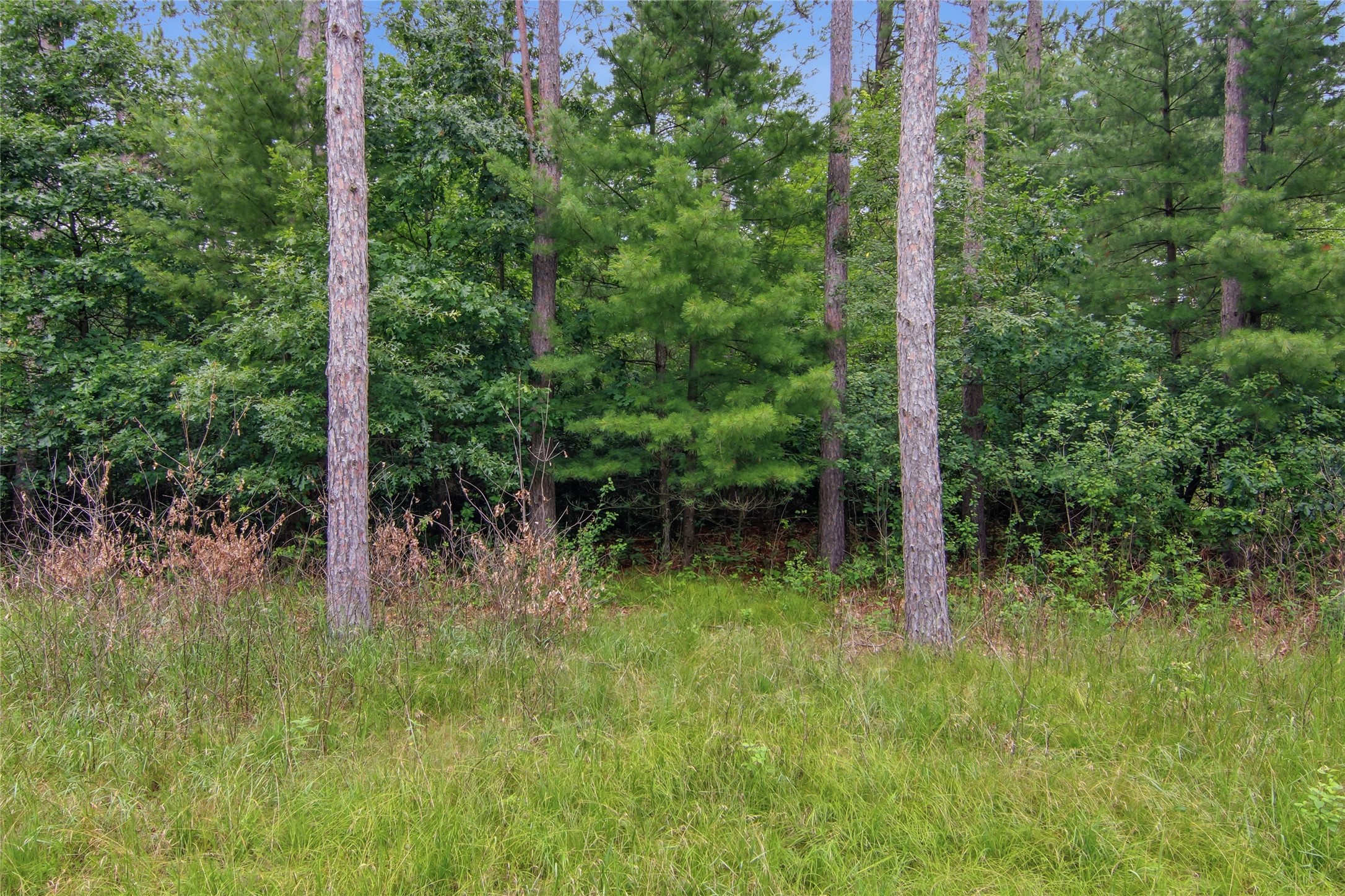 0 West Road Black River Falls, WI 54615 - Photo 41 of 43