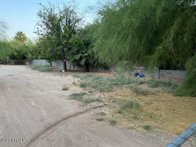 839 East Apollo Road Phoenix, AZ 85042 - Photo 3 of 6 IMG_1590