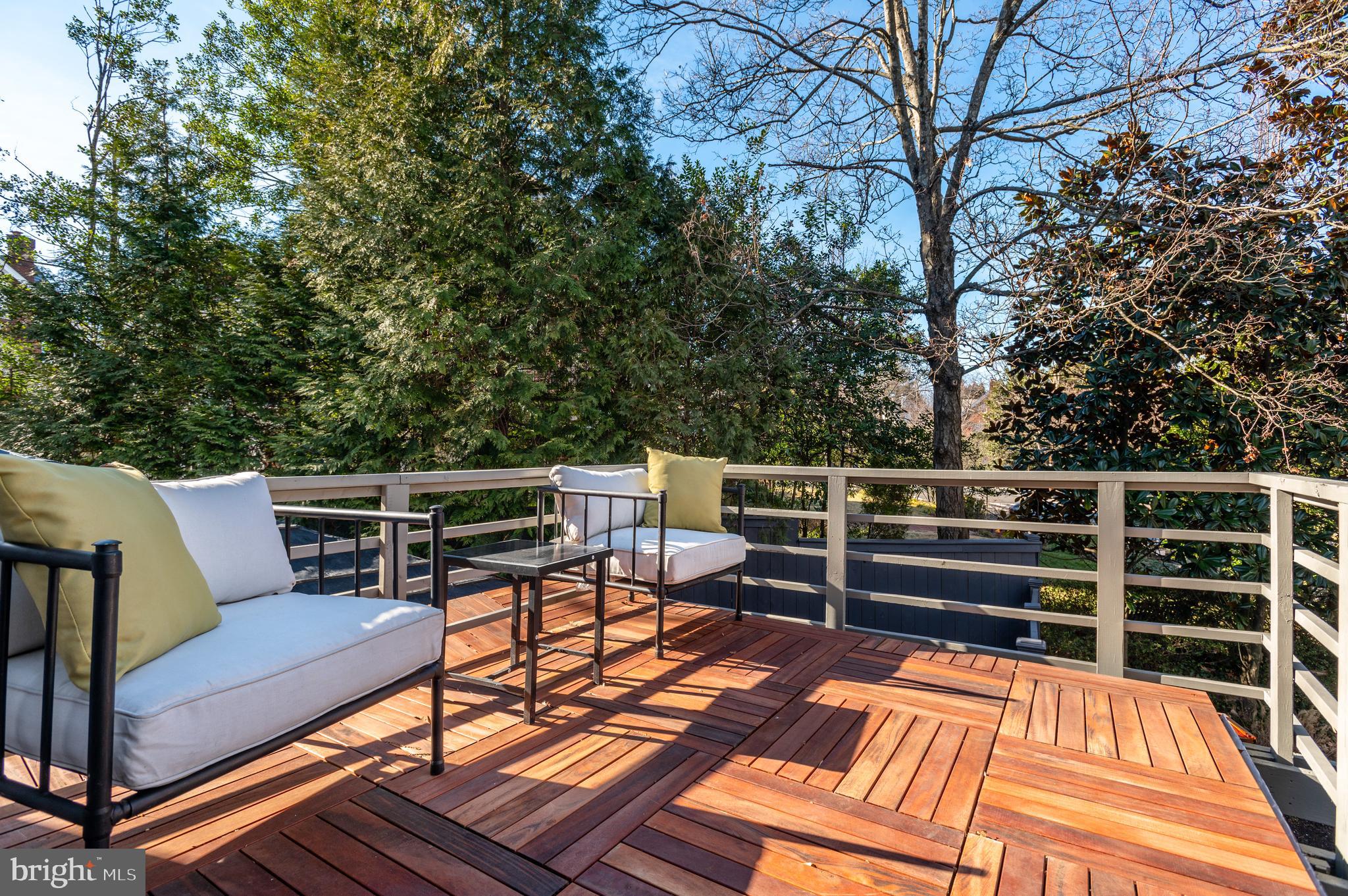 3126 Woodley Road Northwest Washington, DC 20008 - Photo 15 of 35 Rooftop Deck