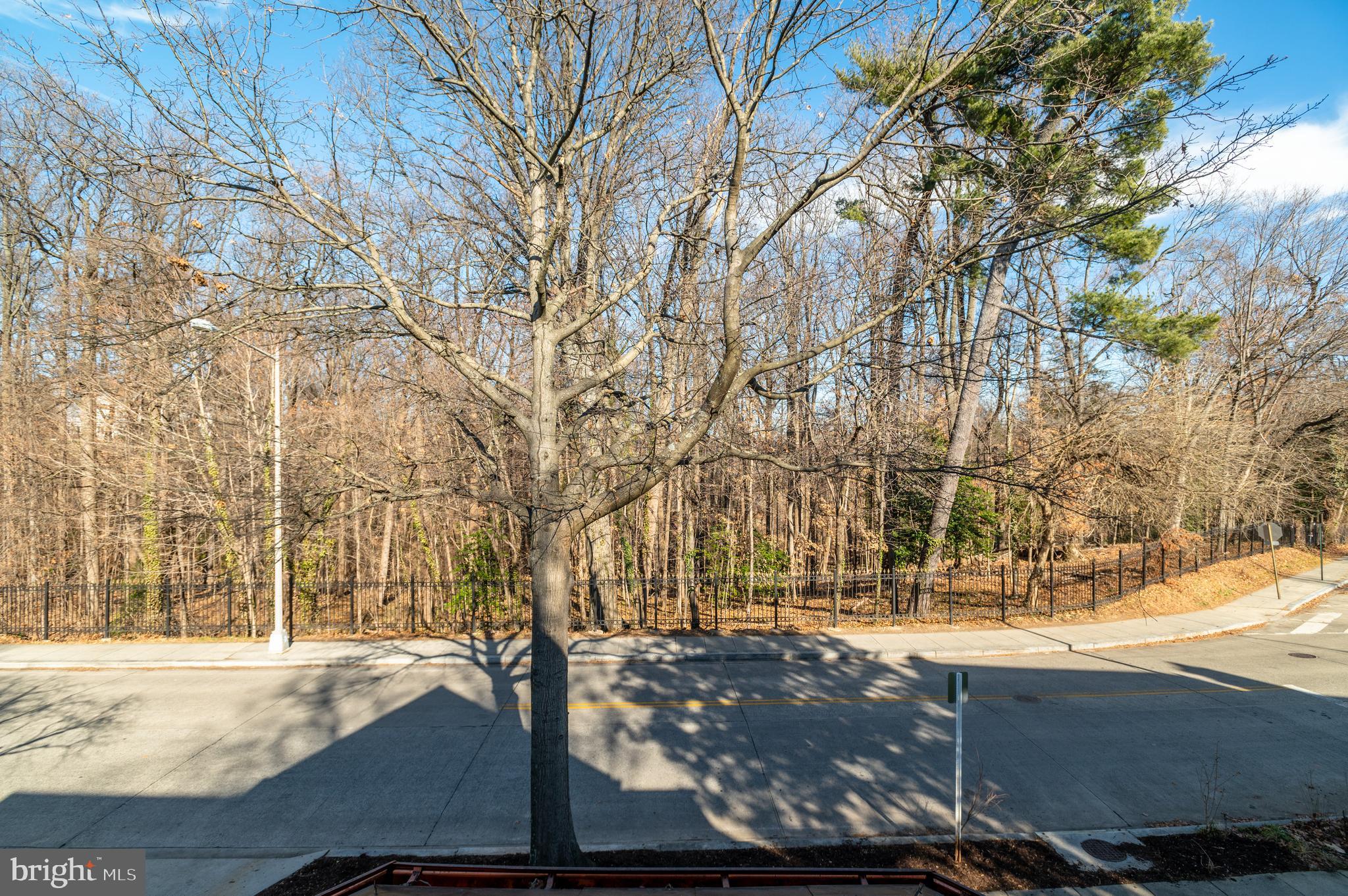 3126 Woodley Road Northwest Washington, DC 20008 - Photo 24 of 35 Views from Upper Level Balcony