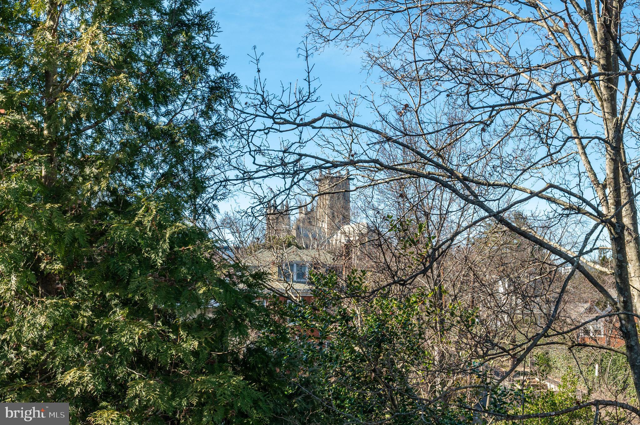 3126 Woodley Road Northwest Washington, DC 20008 - Photo 26 of 35 National Cathedral Views