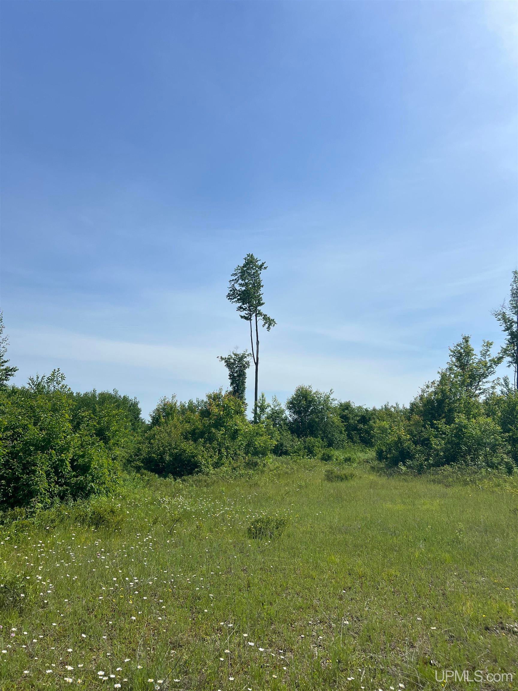 Tbd Chalk Hills Road Daggett, MI 49821 - Photo 19 of 59 Gallery Image 19