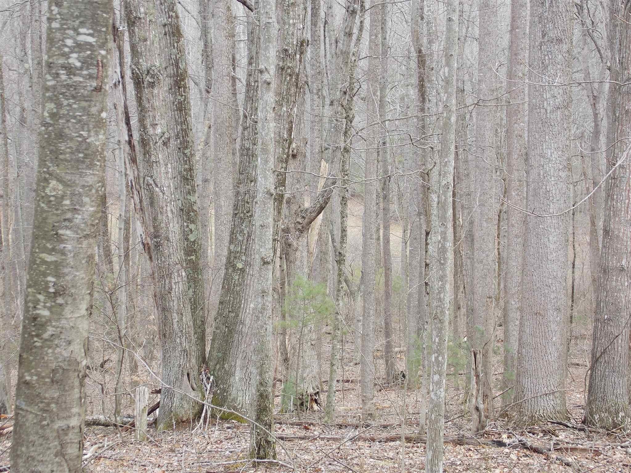 Tbd Broad Hollow Road Southeast Floyd, VA 24091 - Photo 17 of 45 Gallery Image 17