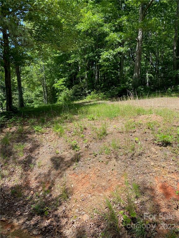 0 Holbert Cove Road Saluda, NC 28773 - Photo 3 of 7 a view of a dry yard with trees