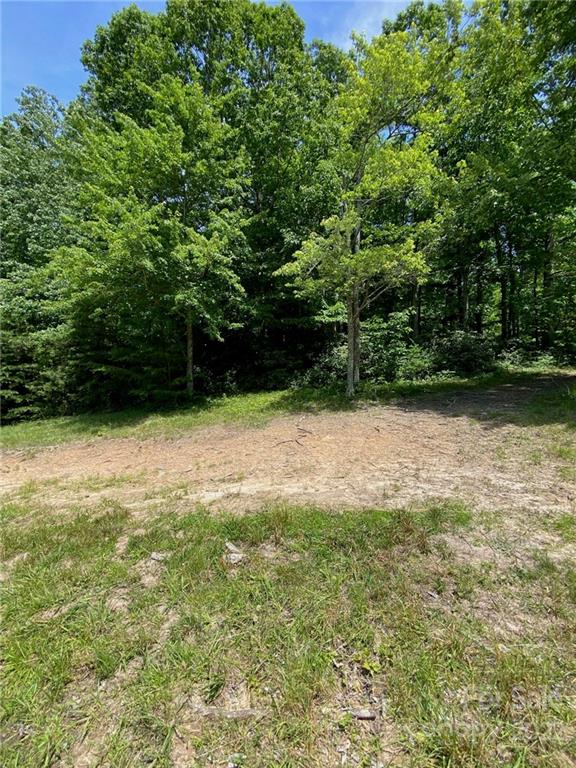 0 Holbert Cove Road Saluda, NC 28773 - Photo 6 of 7 a view of backyard with green space