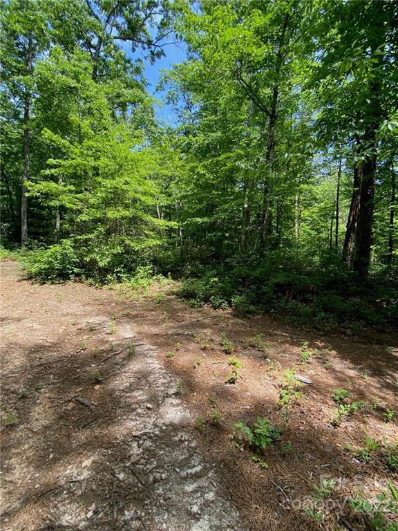 0 Holbert Cove Road Saluda, NC 28773 - Photo 7 of 7 a view of backyard with green space