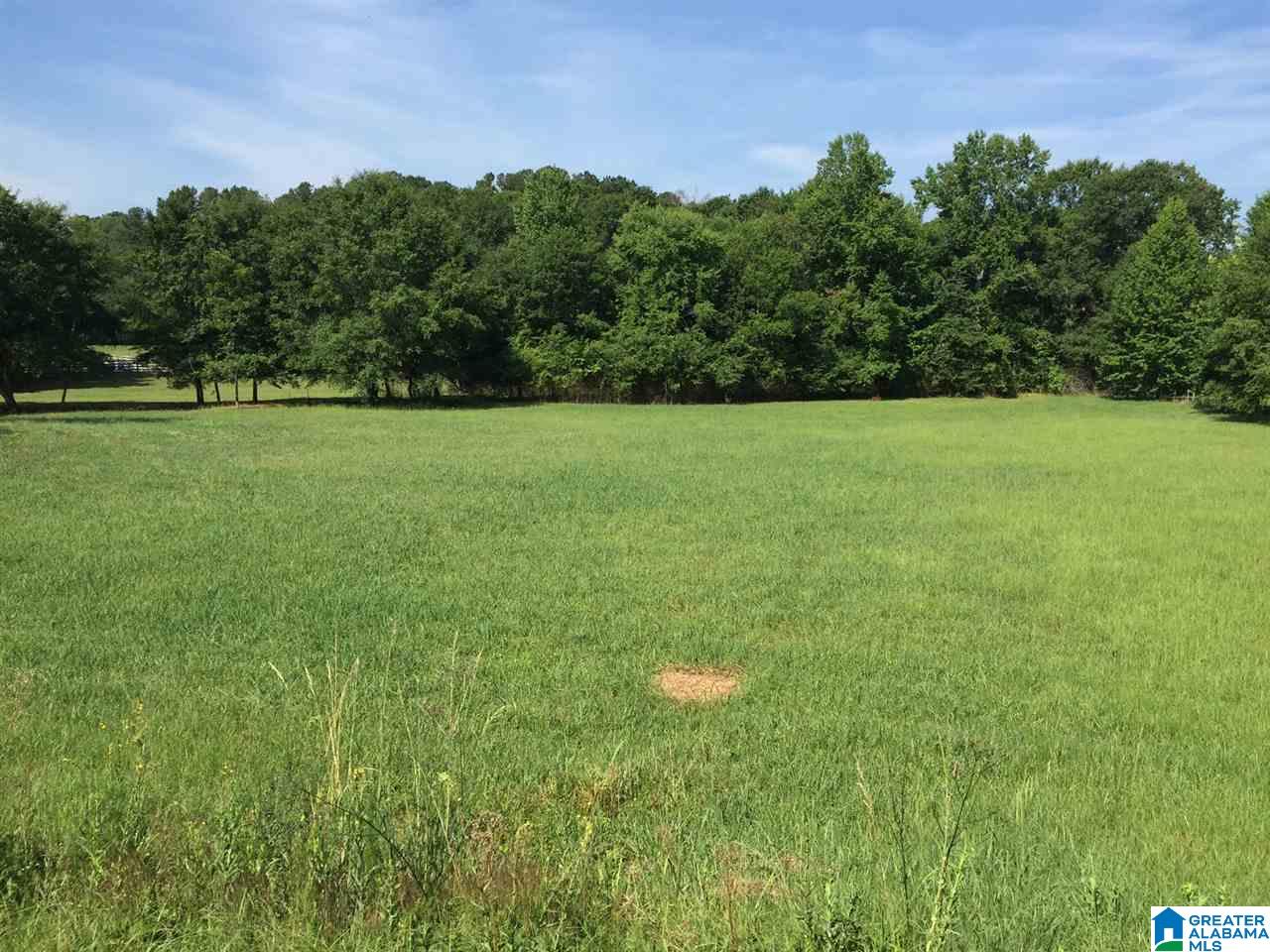 366 Parker Road Cropwell, AL 35054 - Photo 19 of 46