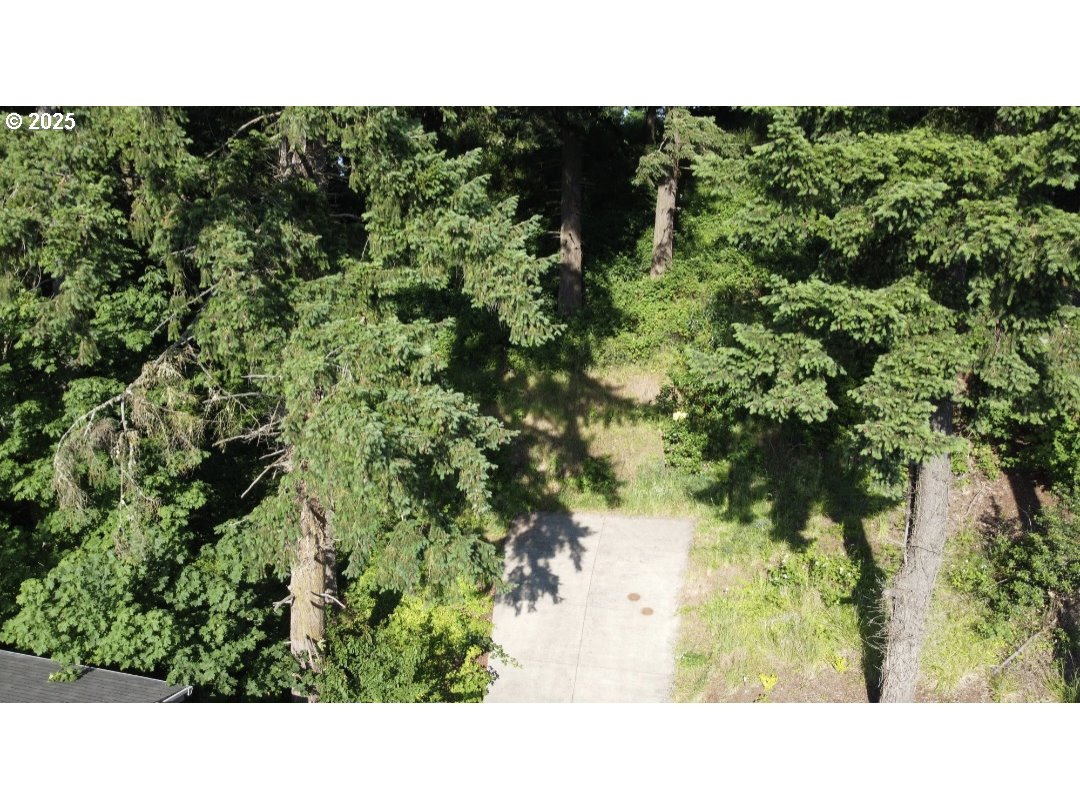 Crenshaw Road Eugene, OR 97401 - Photo 4 of 7