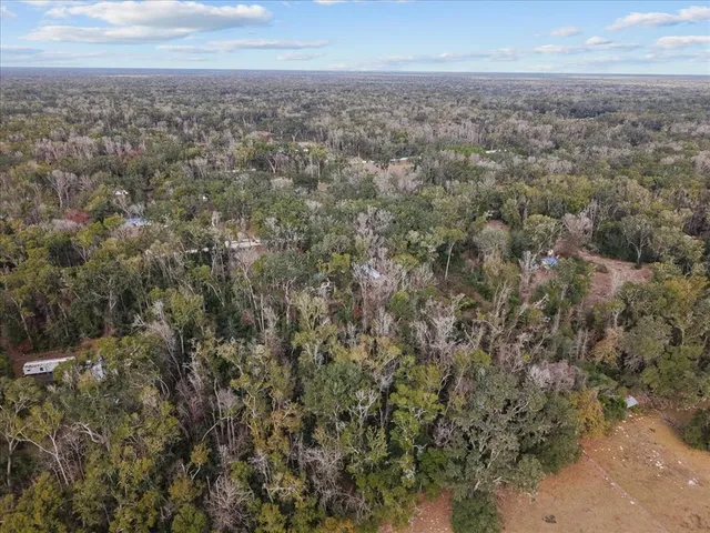 a view of city and green space