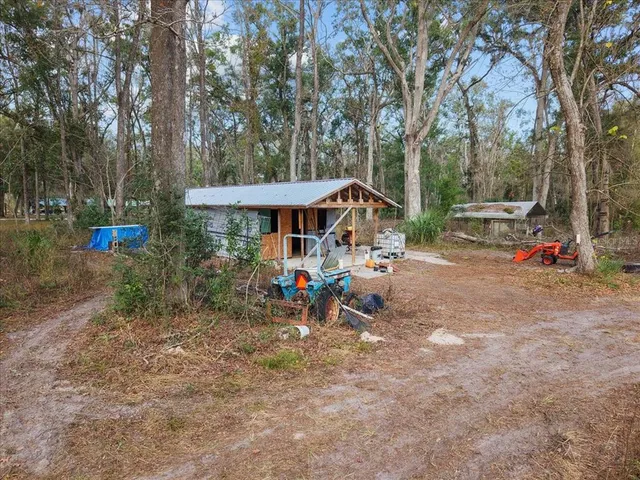 a view of a park with large trees
