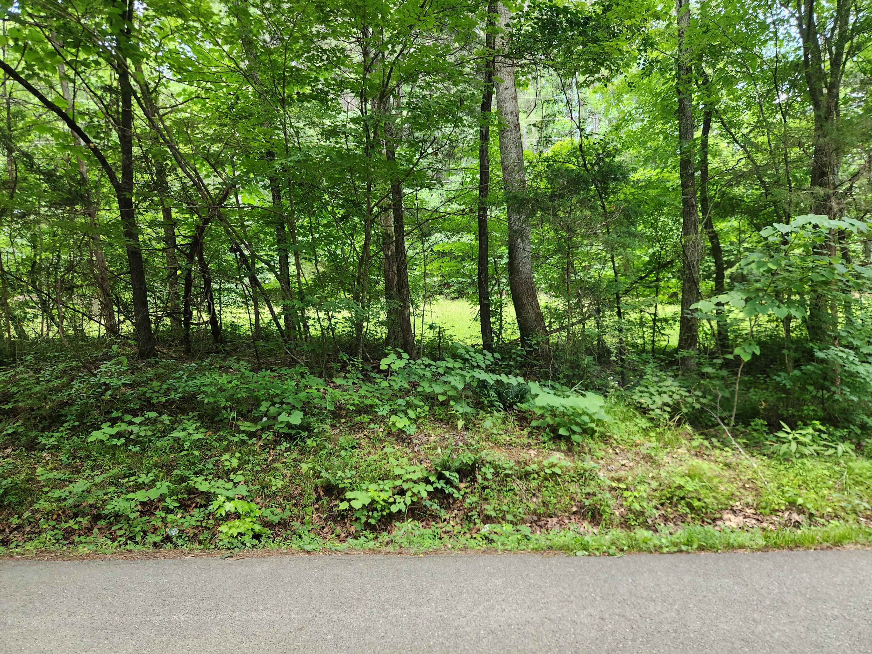 2097 Old Parksville Road Northeast Cleveland, TN 37323 - Photo 1 of 1 20260613_142852