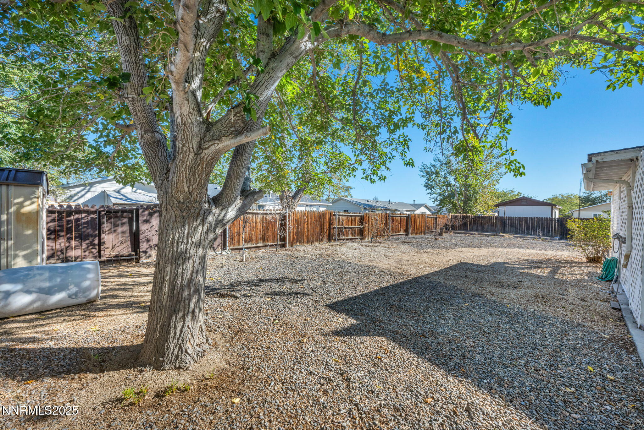 836 E Street Fernley, NV 89408 - Photo 37 of 53 a view of a yard with a tree