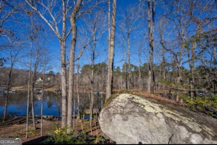 138 Winding River Road Eatonton, GA 31024 - Photo 38 of 56