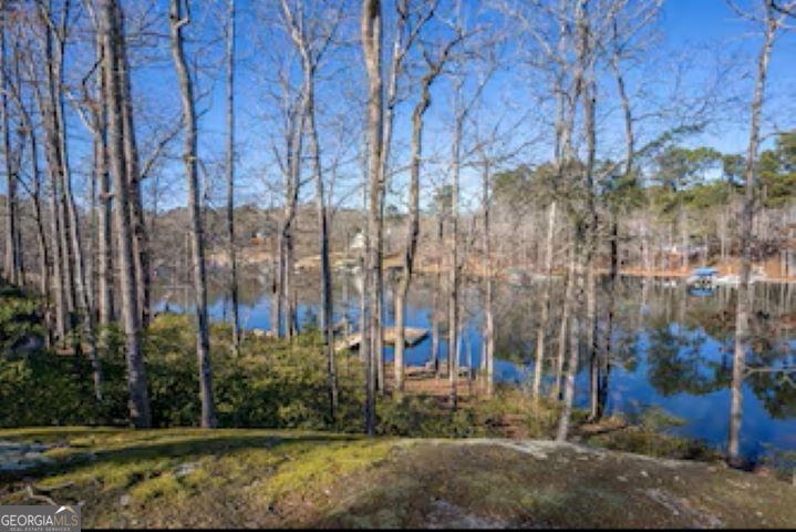 138 Winding River Road Eatonton, GA 31024 - Photo 46 of 56