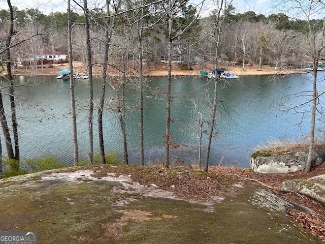 138 Winding River Road Eatonton, GA 31024 - Photo 55 of 56