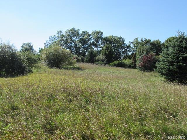65338 Dequindre Road Washington, MI 48095 - Photo 19 of 28 IMG_0428.jpg