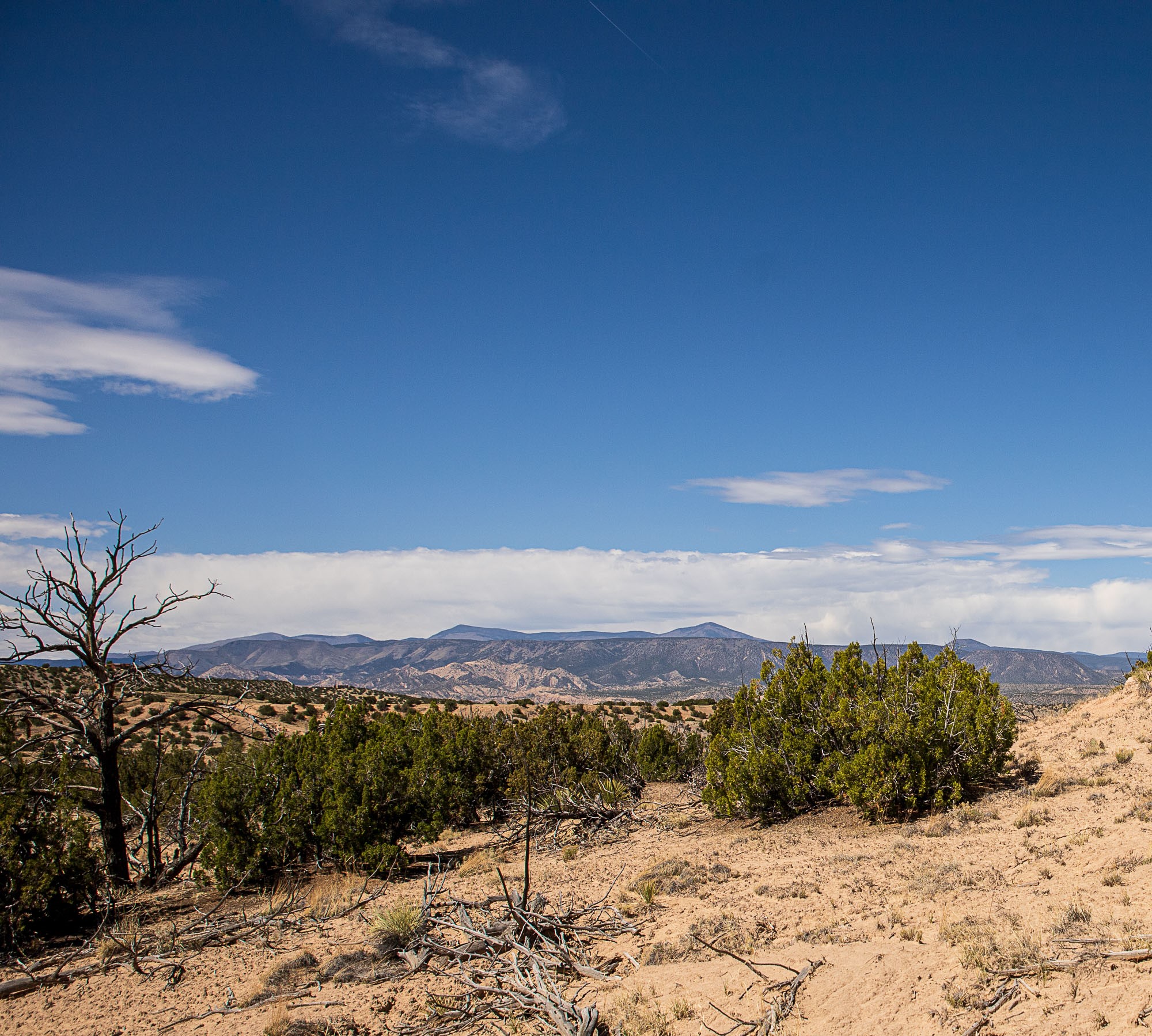0 El Rito Estates Abiquiu, NM 87510 - Photo 20 of 56