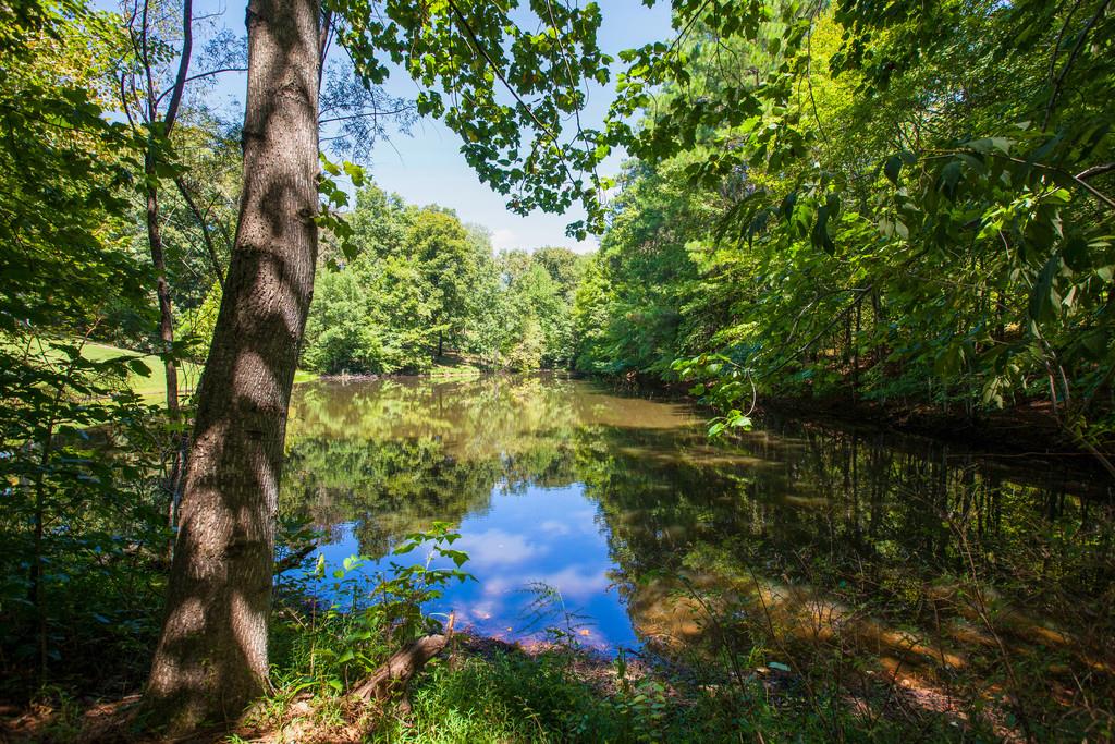 5939 Greenbriar Road Franklin, TN 37064 - Photo 29 of 30 a view of lake