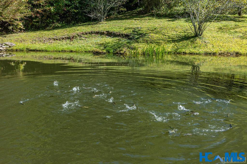 1857 Pilot Knob Road Tuckasegee, NC 28783 - Photo 44 of 44 Stocked trout in Community pond