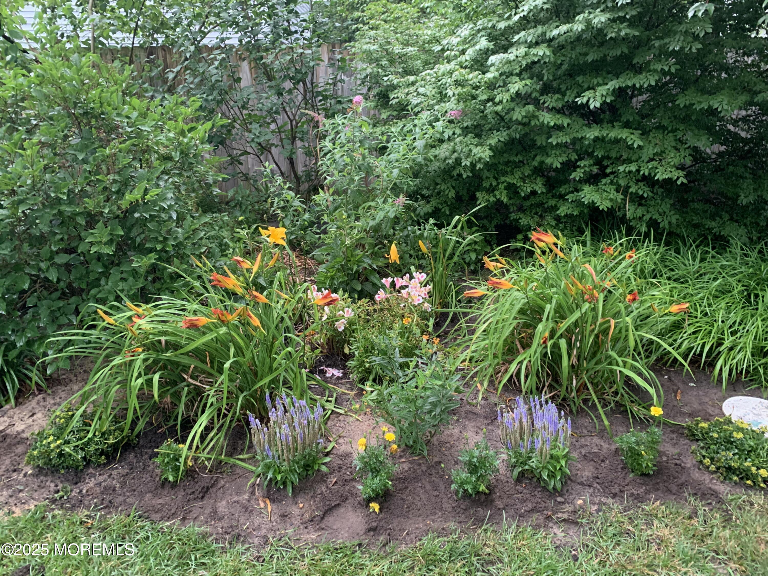 60 Appletree Road Howell, NJ 07731 - Photo 24 of 28 a backyard of a house with lots of green space