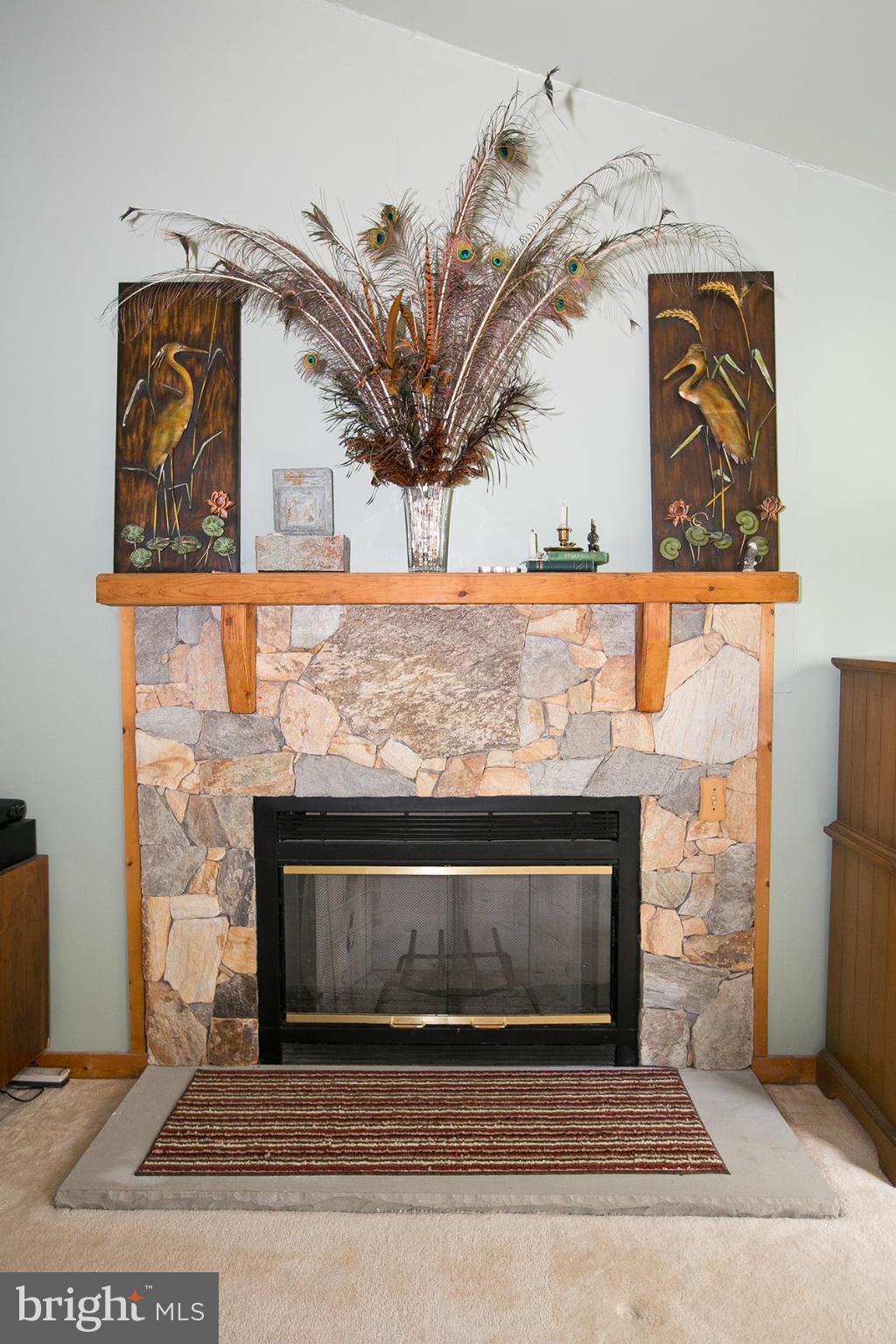 2704 Lookout Road Haymarket, VA 20169 - Photo 18 of 30 Master bedroom fireplace