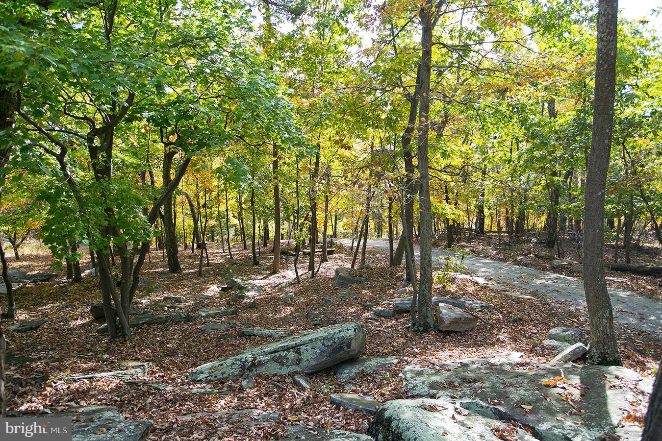 2704 Lookout Road Haymarket, VA 20169 - Photo 3 of 30 View of the driveway from the deck