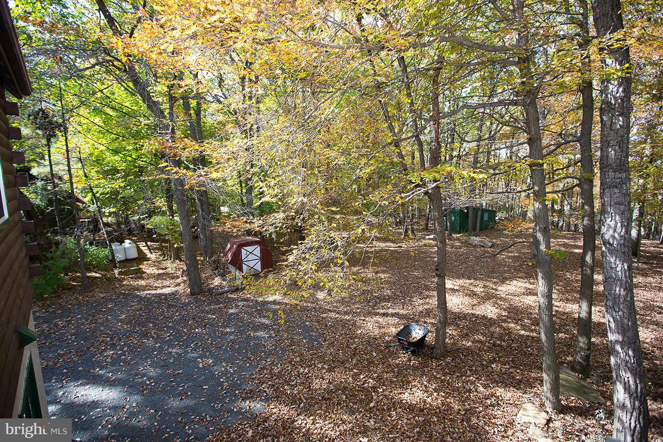 2704 Lookout Road Haymarket, VA 20169 - Photo 25 of 30 Backyard