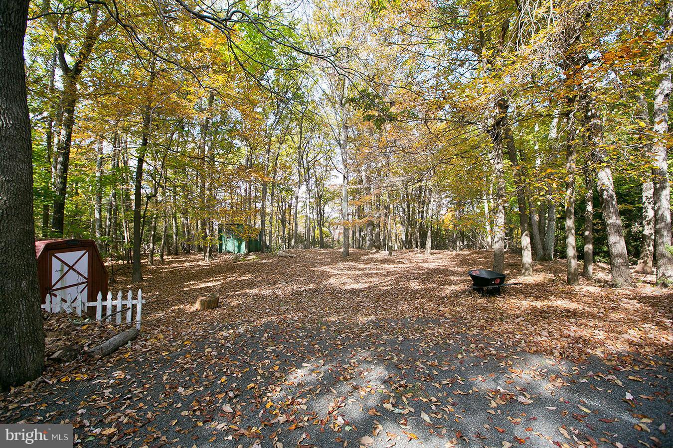 2704 Lookout Road Haymarket, VA 20169 - Photo 28 of 30 Property backs to protected land