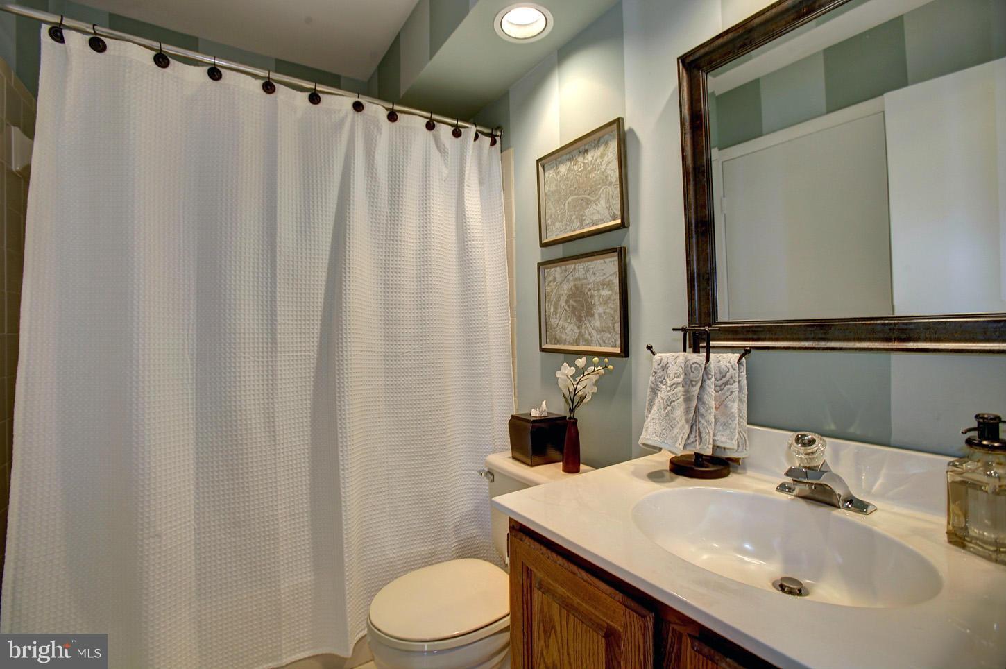 11632 Chapel Cross Way Reston, VA 20194 - Photo 21 of 30 a bathroom with a sink a toilet and shower curtain
