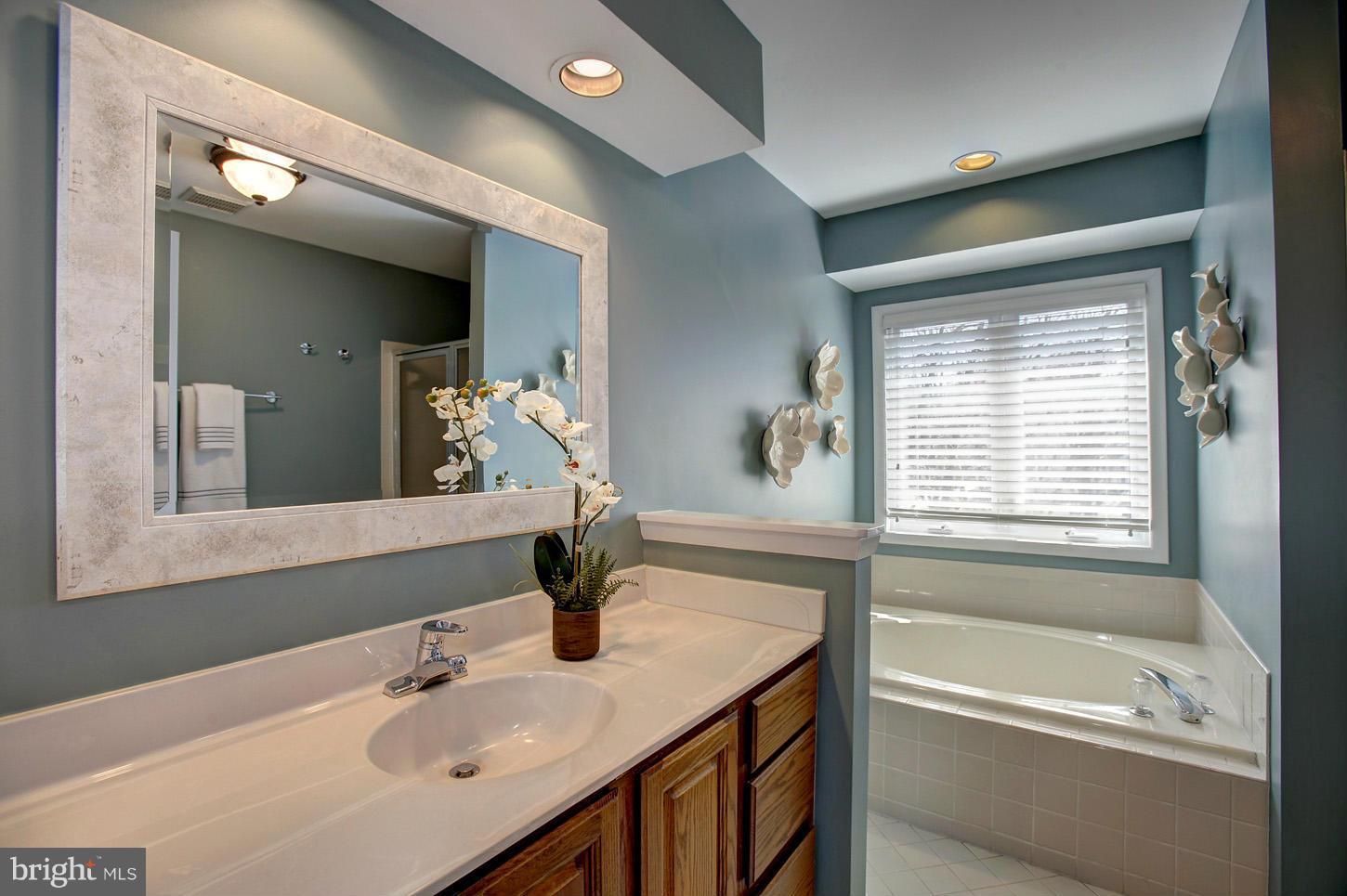 11632 Chapel Cross Way Reston, VA 20194 - Photo 23 of 30 a bathroom with a tub sink and mirror