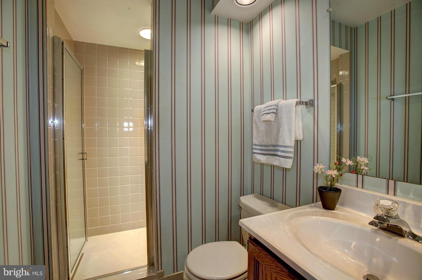 11632 Chapel Cross Way Reston, VA 20194 - Photo 28 of 30 a bathroom with a sink and a mirror