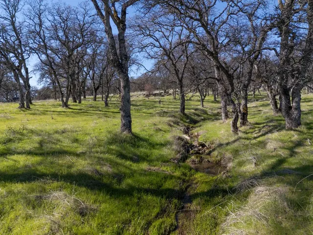 a backyard of a house with lots of green space