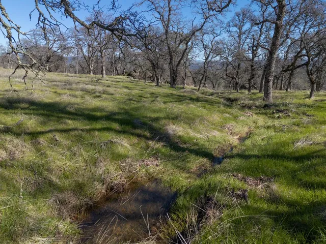 a view of outdoor space with trees all around