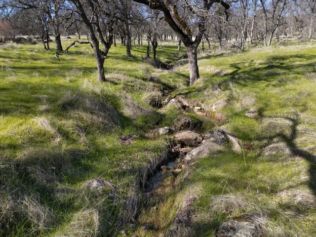 a view of a field with trees in the background