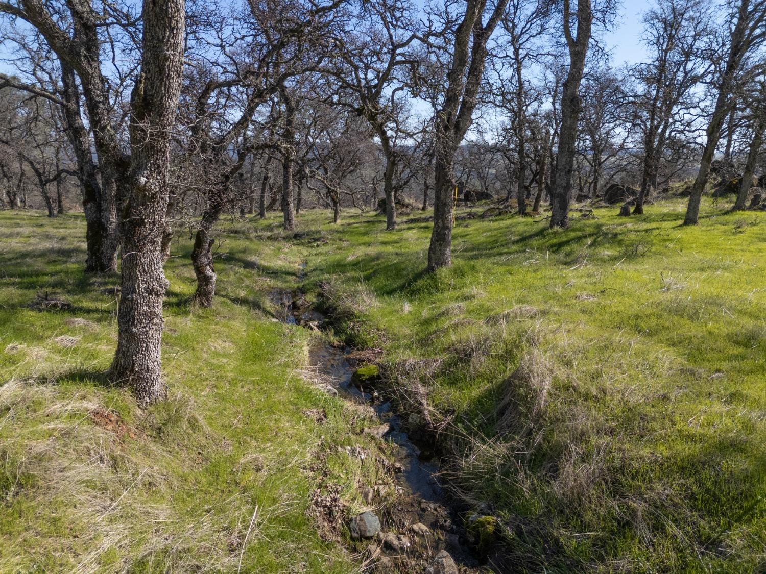 0 Stern Lane Browns Valley, CA 95918 - Photo 16 of 21 a backyard of a house with lots of green space