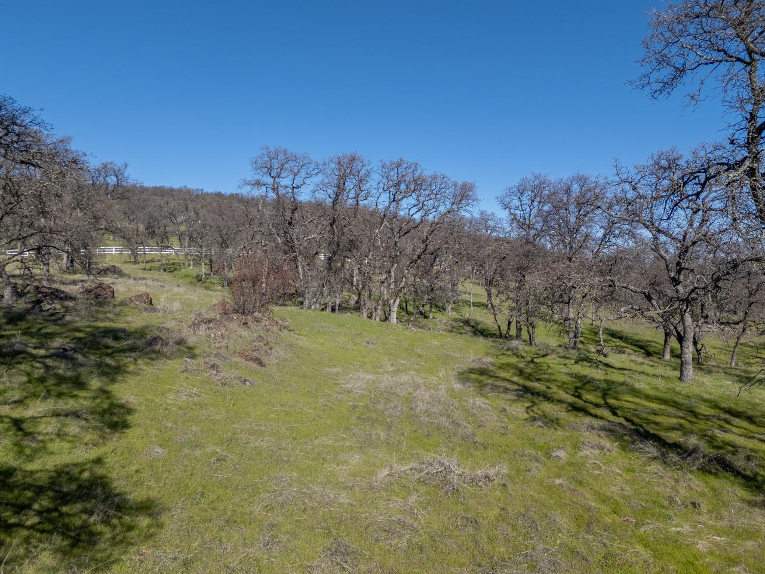 0 Stern Lane Browns Valley, CA 95918 - Photo 19 of 21 a view of a field with trees in the background