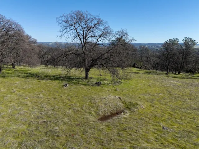 a view of outdoor space with trees