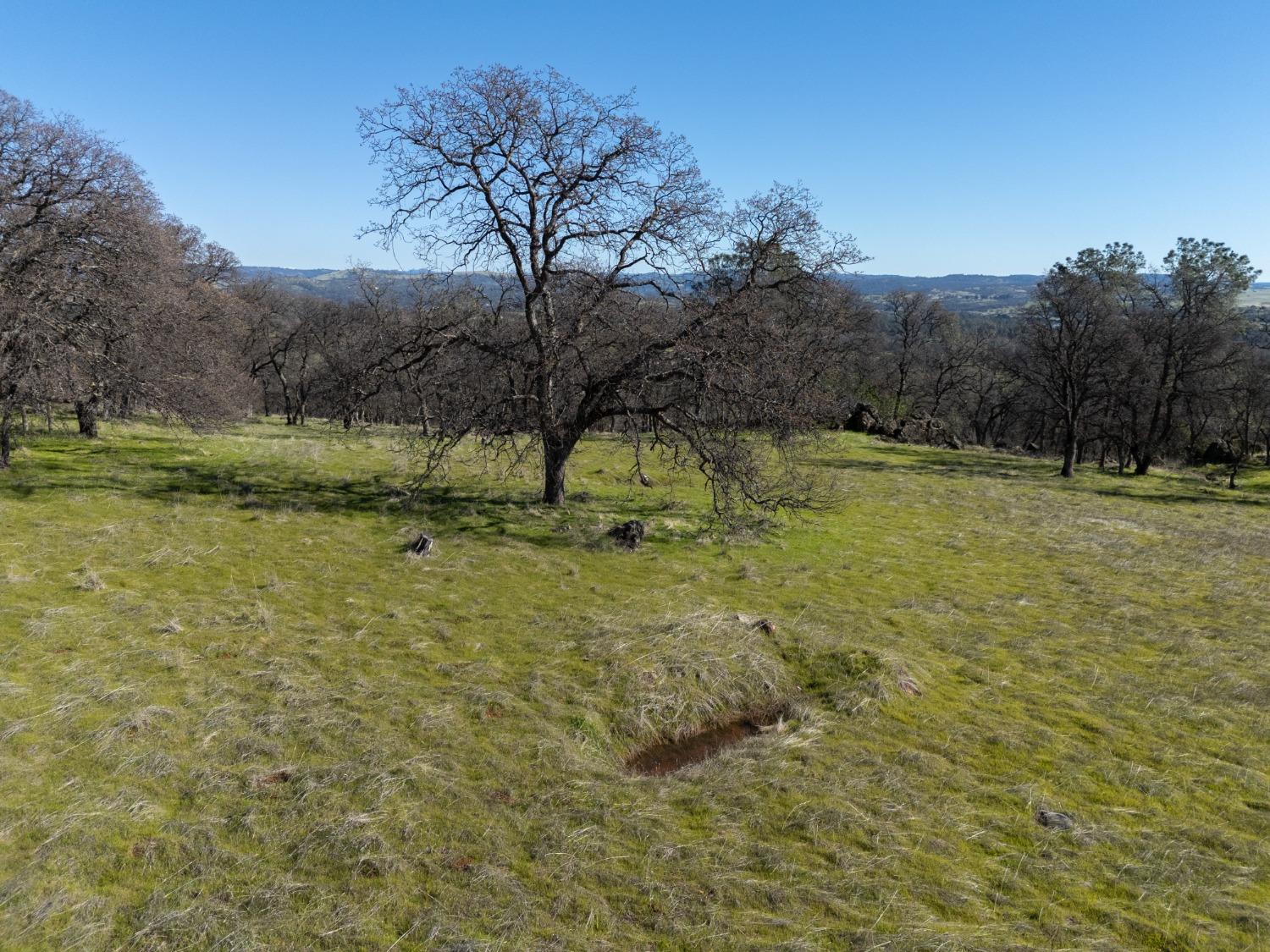 0 Stern Lane Browns Valley, CA 95918 - Photo 7 of 21 a view of an outdoor space and yard