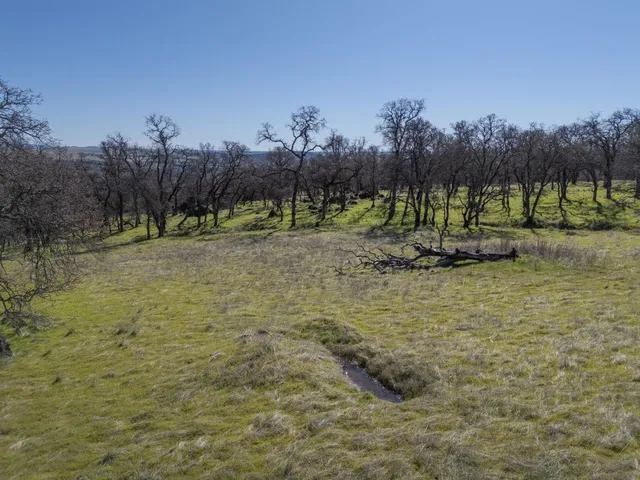 a view of a yard with a tree